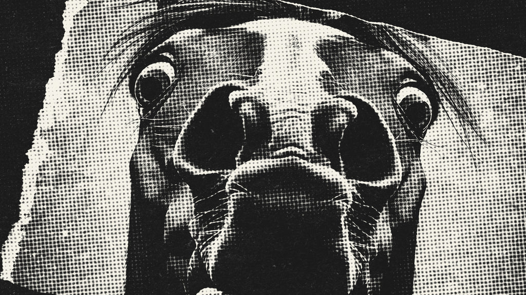 8 Jahre Veganer probiert Pferdefleisch Steak