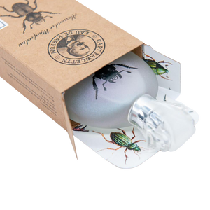 Eau De Parfum Alessandro Manfredini Parfum Captain Fawcett   